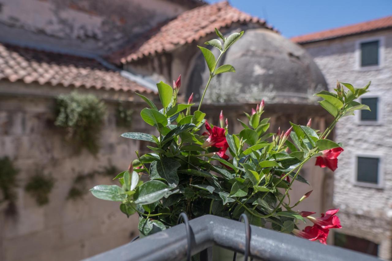 Olive Grove Of Sibenik - Apartment With Gallery Zewnętrze zdjęcie